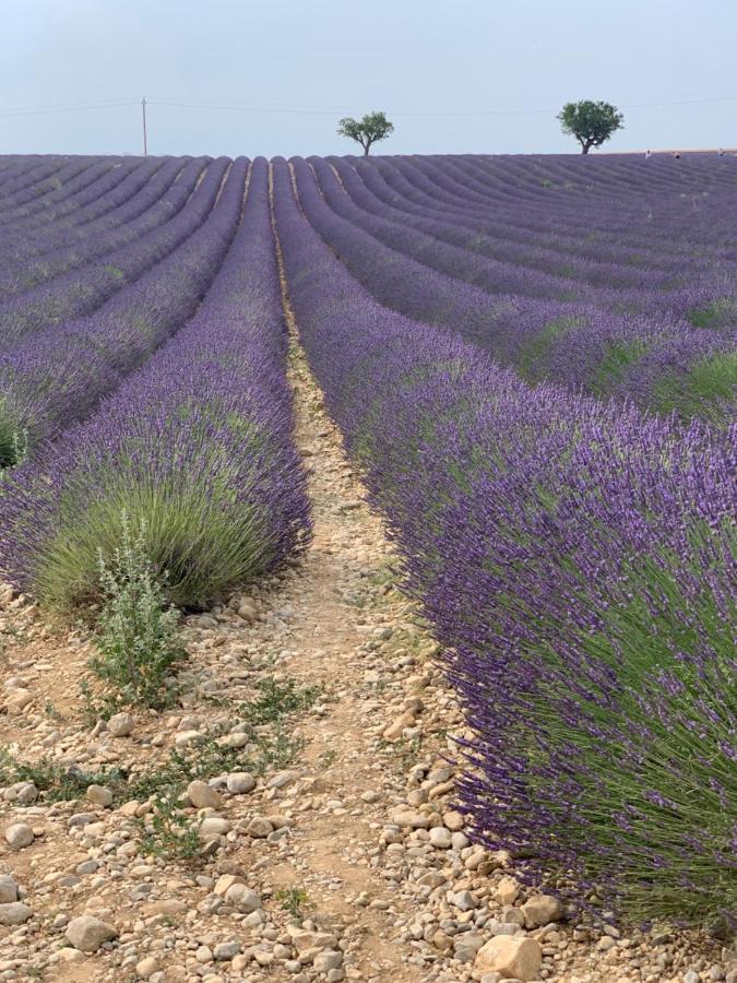 Éguilles Studio Nuitee En Provence 2 מראה חיצוני תמונה
